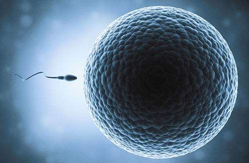 美国试管婴儿技术好吗？致所有迷茫的难孕育家庭！