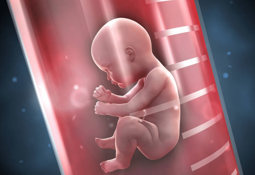 1511854660(1).png