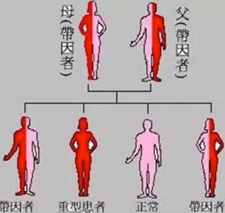 不抱怨命运不公，地中海贫血夫妻实现生育梦！