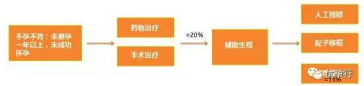 辅助生殖市场火爆，互联网备孕中心激增，海外试管婴儿较热门！