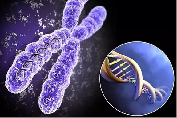 试管婴儿周期这么辛苦，千万不要让你的试管之路毁在这一步！