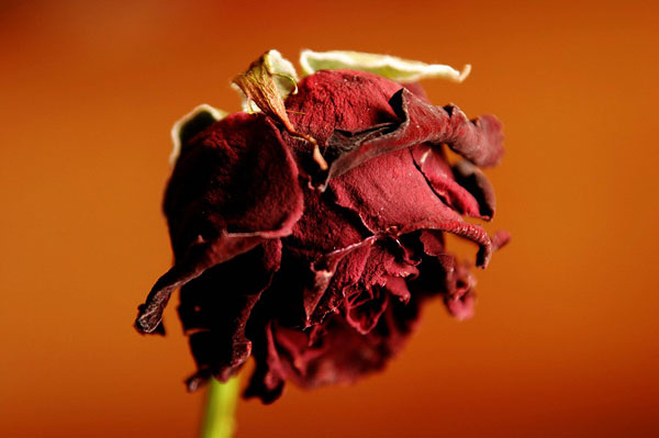 48岁可以做美国试管婴儿吗？