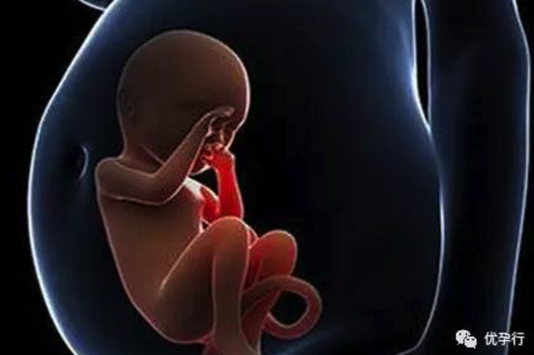 45岁还在等自然受孕，不是她不愿意做试管婴儿，因为她很在意这三件事！