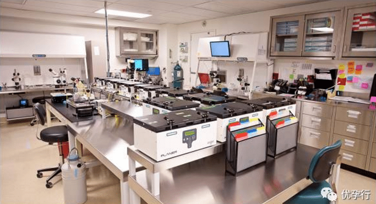 美国试管婴儿到底牛在哪？