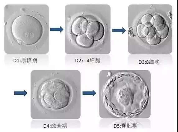 微信图片_20180119152843.jpg