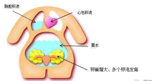 QQ图片20180224165445.png